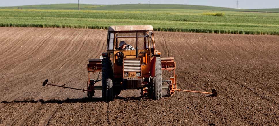 Μήδεια: Συστάσεις προς αγρότες, κτηνοτρόφους και μελισσοκόμους του Έβρου