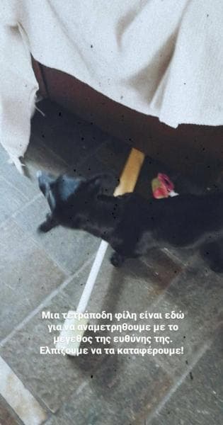 Αλίκη Κατσαβού : Νέο μέλος στην οικογένεια του Κώστα Βουτσά