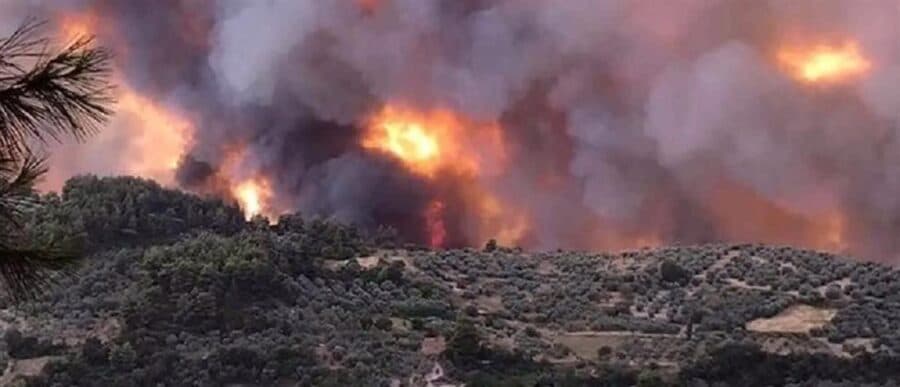 Εύβοια: Εκκενώνεται το χωριό Κεχριές- 15 εκκενώθηκαν συνολικά