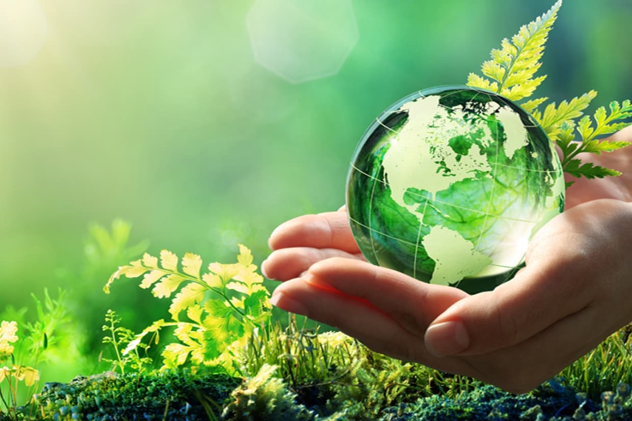 Βιολογικά νεότεροι κατά 2,5 χρόνια όσοι ζουν κοντά σε χώρους πρασίνου – Ερευνα