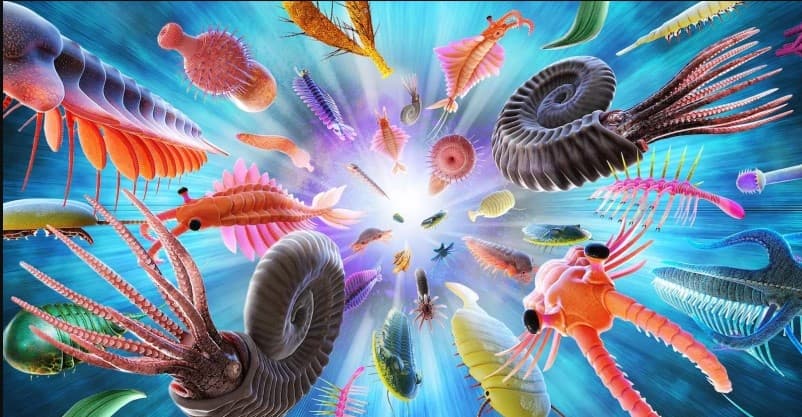 Μία έκρηξη ζωής λαμβάνει χώρα στην Γη κάθε 36 εκατομμύρια χρόνια