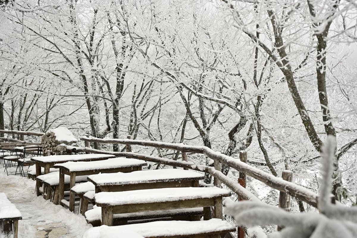 Πορτοκαλί Συναγερμός λόγω Κακοκαιρίας Coral