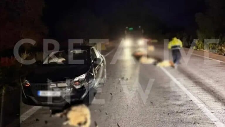 Τροχαίο στην Κρήτη: Αυτοκίνητο παρέσυρε 15 πρόβατα - Συνελήφθη ο βοσκός