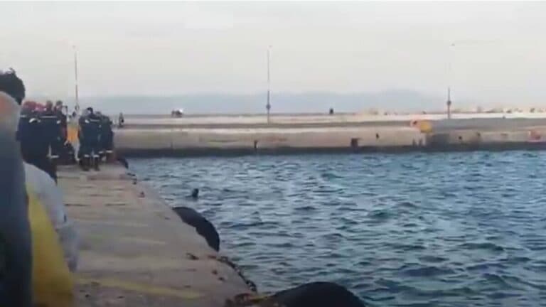 Τραγωδία στο Λιμάνι της Μυτιλήνης: Αυτοκίνητο έπεσε στη θάλασσα – Νεκρός ο οδηγός