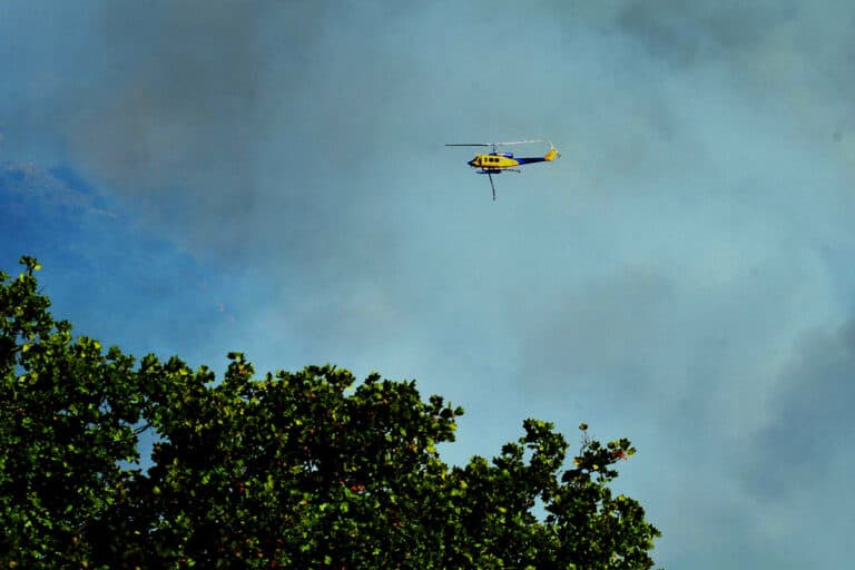 Συνολάκης: Πρέπει να μάθουμε να ζούμε με τις φωτιές – Να βοηθήσουμε το δάσος να επανέλθει