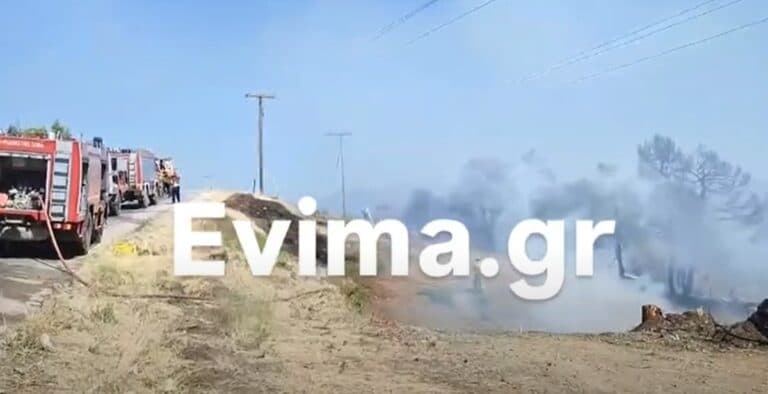 Φωτιά στην Εύβοια: Αναζωπύρωση στον Πισσώνα