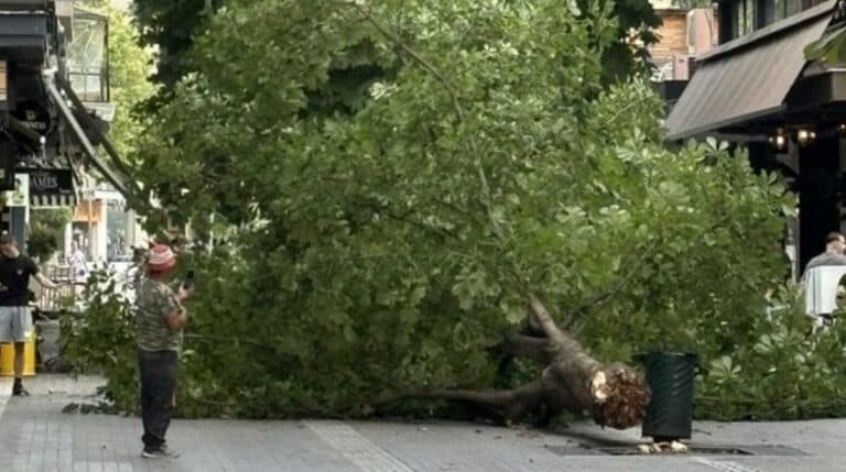 «Χάος» στη Δυτική Ελλάδα: Ισχυροί άνεμοι, φωτιές, μπουρίνια και πτώσεις δέντρων