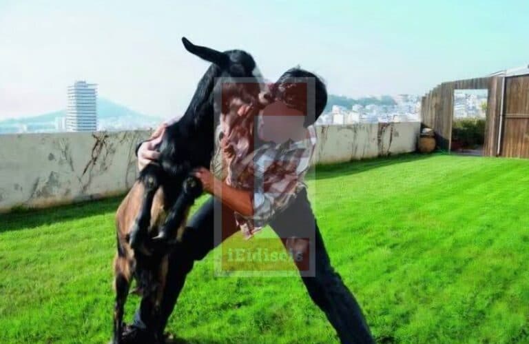 Ποιος είναι ο αρχιτέκτονας που ήθελε να γίνει αγρότης – Φάρμα, ιχθυοκαλλιέργεια και τυροκομείο στους Αμπελόκηπους