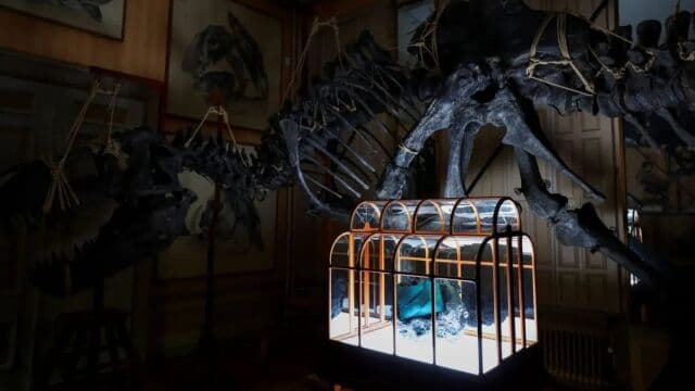 τσάντα από καλλιεργημένο δέρμα Τυραννόσαυρου Ρεξ Άμστερνταμ