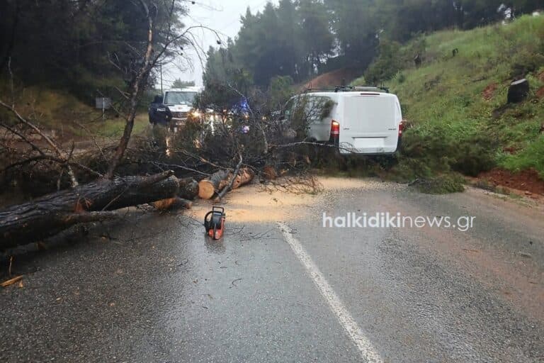 Κακοκαιρία Erminio: Τροχαία, πτώσεις δέντρων και διακοπές κυκλοφορίας στη Χαλκιδική