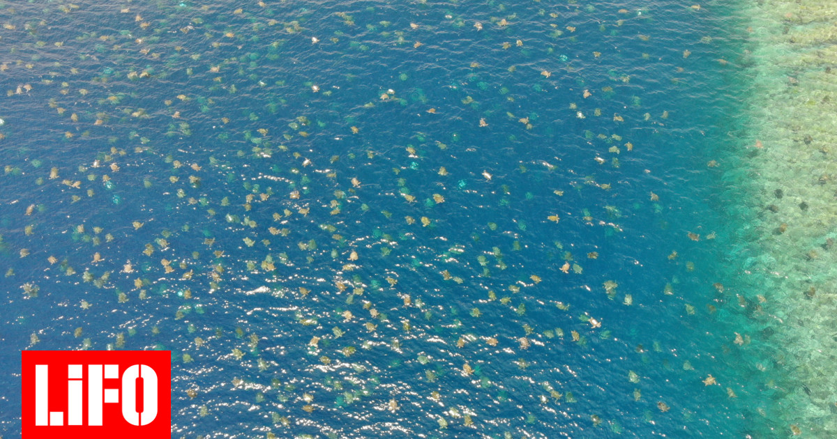 1591796133.jpg