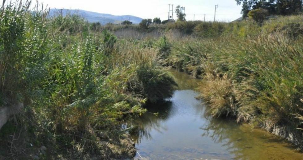 Η Εφημερίδα των Συντακτών