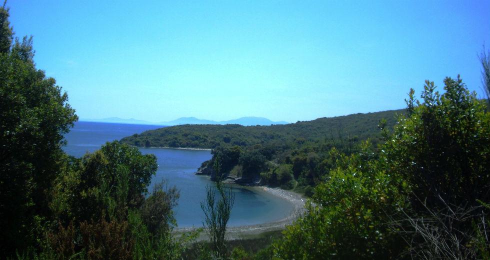 Η Εφημερίδα των Συντακτών