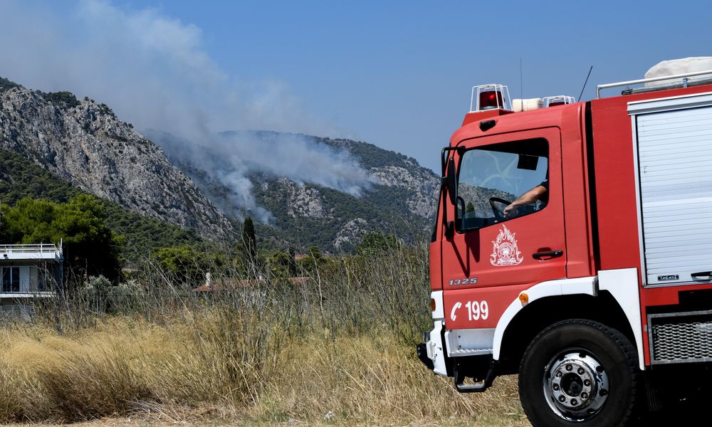 Στην τύχη τους τα δάση από την Κυβέρνηση Μητσοτάκη