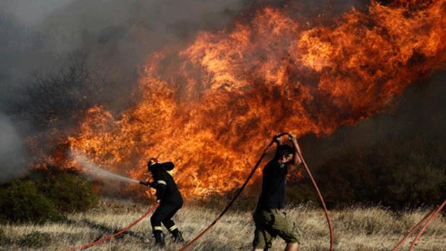 Κόρινθος: Υπό μερικό έλεγχο η φωτιά στον Ξηρόκαμπο Νεμέας