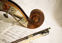 violi notes