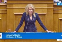 tzakri sto vima tis voylis