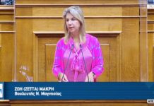 zetta makri voyli