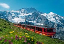 chamonix treno