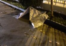 spasmena tzamia iraklis epithesi