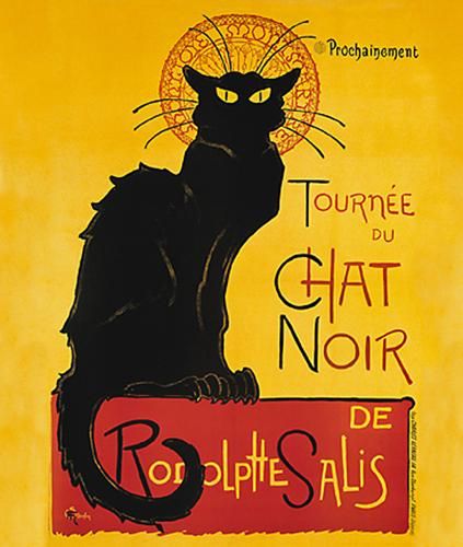 chat noir