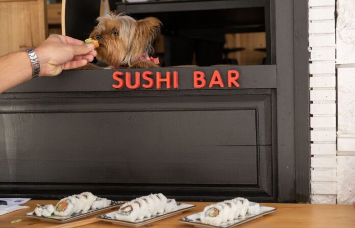 sushi2