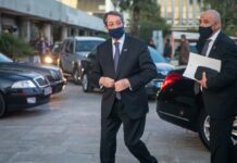 Ν. Αναστασιάδης