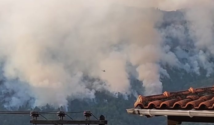 2022-07-25 ΦΩΤΟ ΚΑΝΝΑΒΗ 7