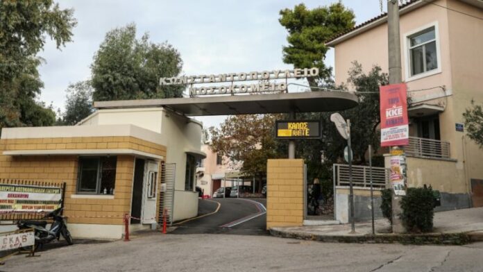 AGIA_OLGA-768x432.jpg