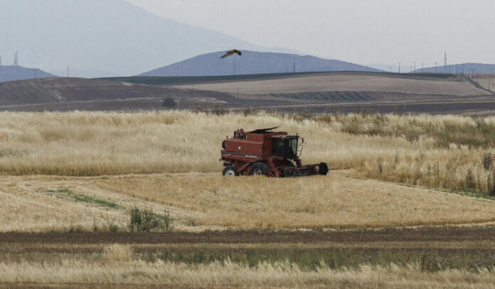 AGROTES-FPA-768x448.jpg