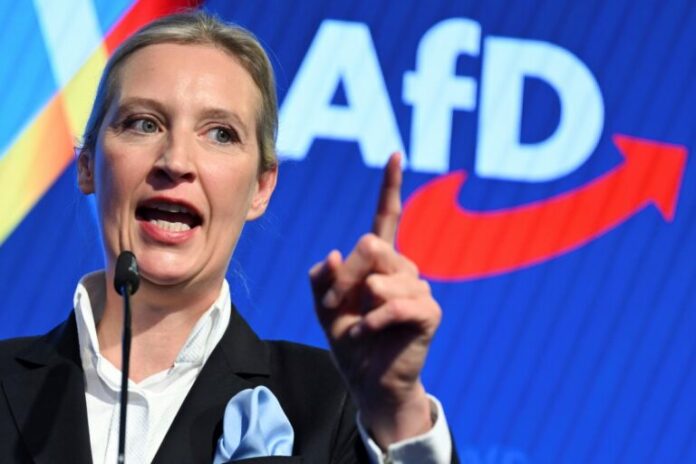AfD-3-768x512.jpg