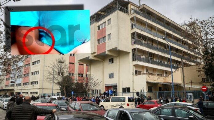 LARISA_KAKOPOIISI-768x432.jpg