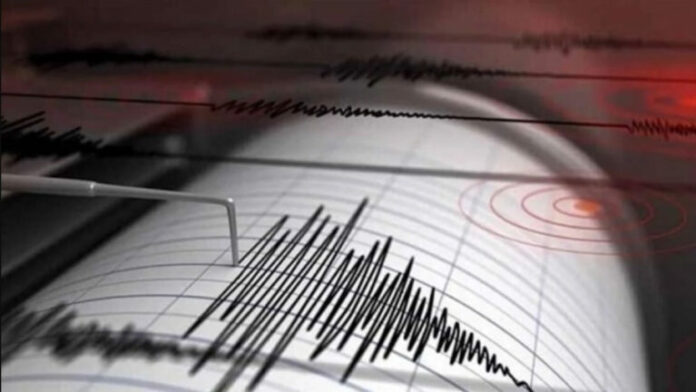 SEISMOGRAFOS_SEISMOS-768x432.jpg