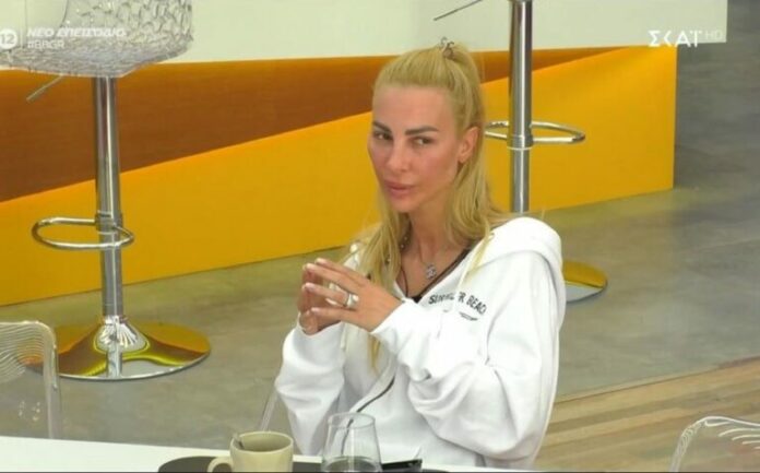 big-brother-dionisia-petamena-lefta-768x478.jpg