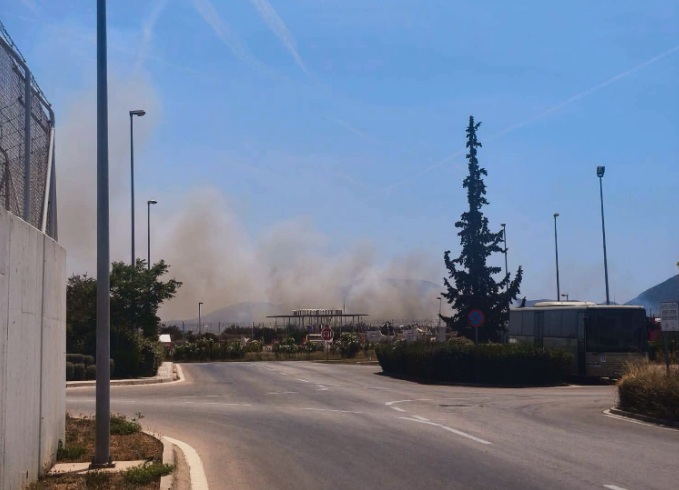 fotia-tora-markopoulo-23.jpg