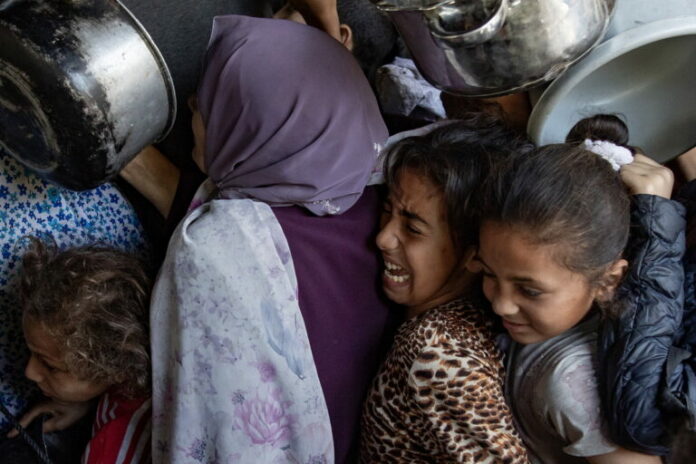 gaza-2-768x512.jpg