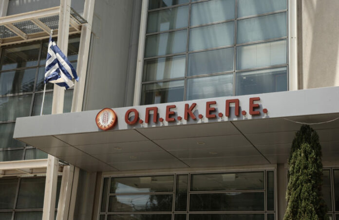 opekepe-1-1-1-768x499.jpg