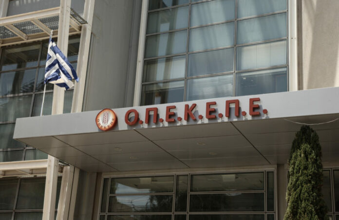 opekepe-1-1-768x499.jpg