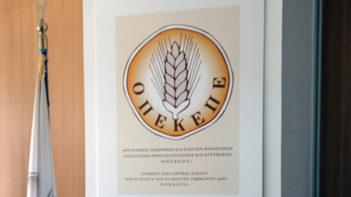opekepe-1-768x432.jpg