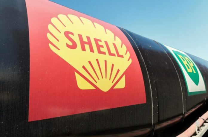 shell_BP-768x505.jpg