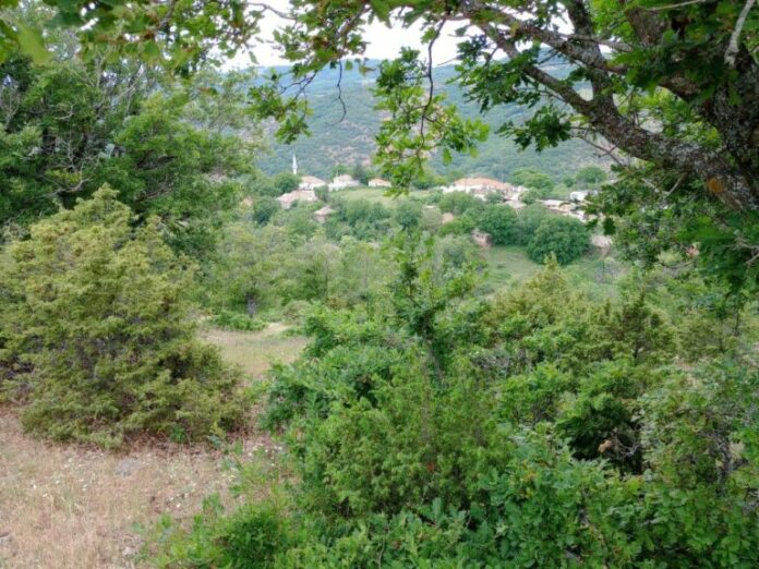 tourkos-mafiozos-rodopi-768x576.jpg