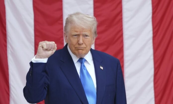 trump-5-768x465.jpg