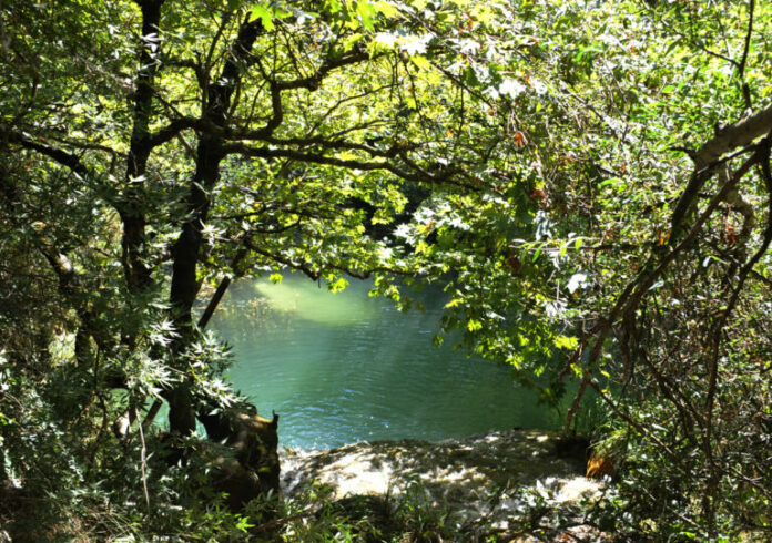 2573307-768x541.jpg