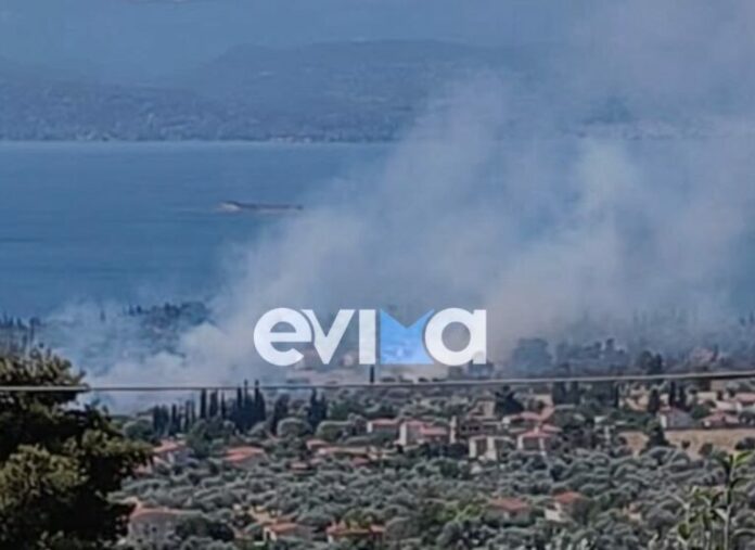 Evoia-768x559.jpg
