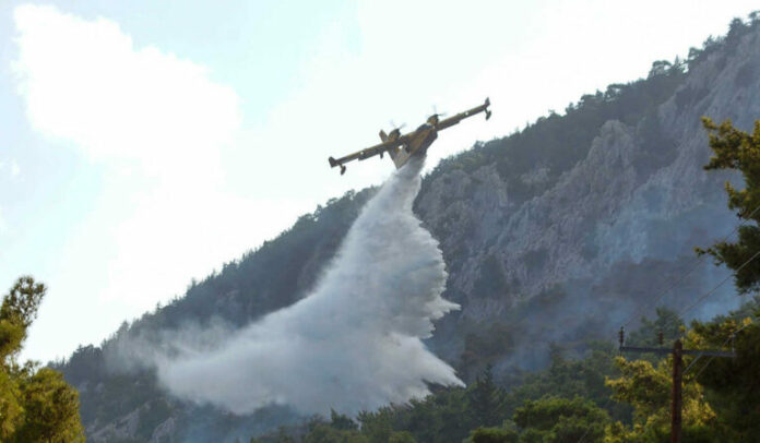 FOTIA-TORA-768x448.jpg