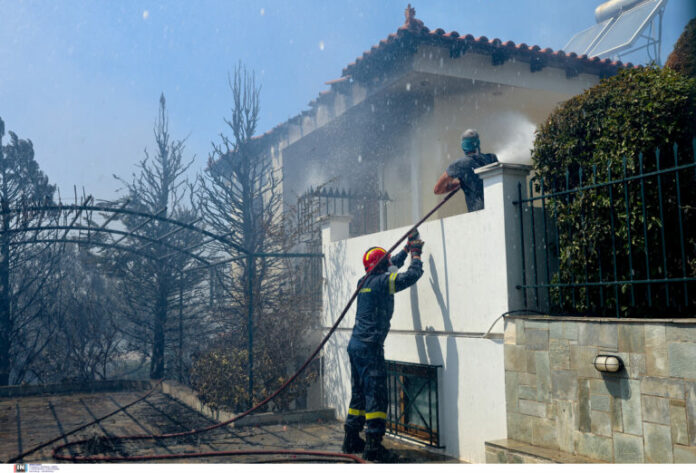 FOTIA_PALAIA_FOKAIA-768x522.jpg