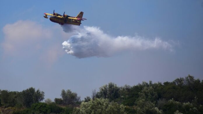 FOTIA_TORA-1-768x432.jpg