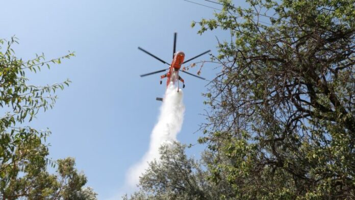 FOTIA_TORA_LESVOS-768x432.jpg