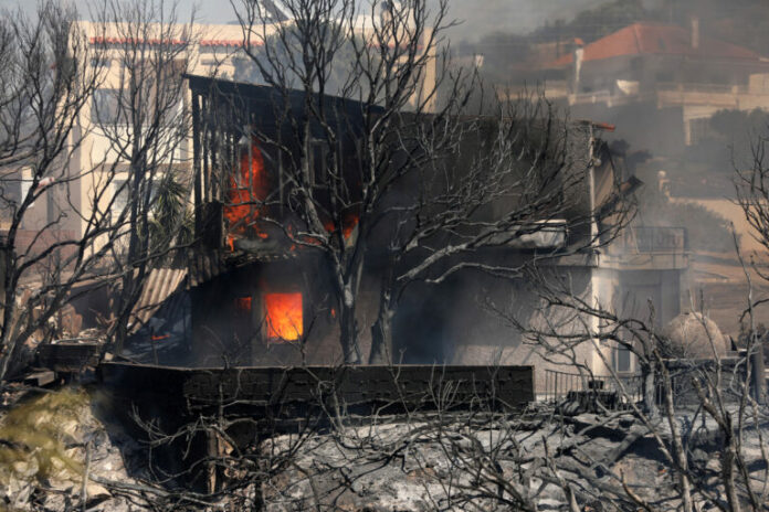 PALAIA_FOKAIA7-768x512.jpg