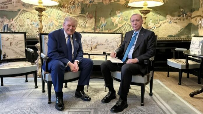 TRAMP_ERNTOGAN-768x432.jpg